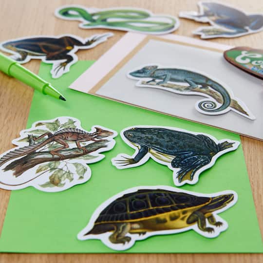 12 Pack: Reptiles Die Cut Stickers by Recollections™